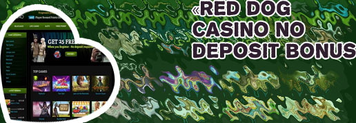 Online casino with no deposit free spins